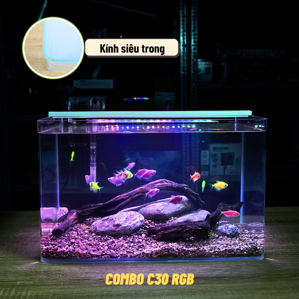 Bể Cá Mini Để Bàn ĐÚC SIÊU TRONG 35x21x23cm Phù Hợp Nuôi Cá , Làm Hồ Thuỷ Sinh Mini