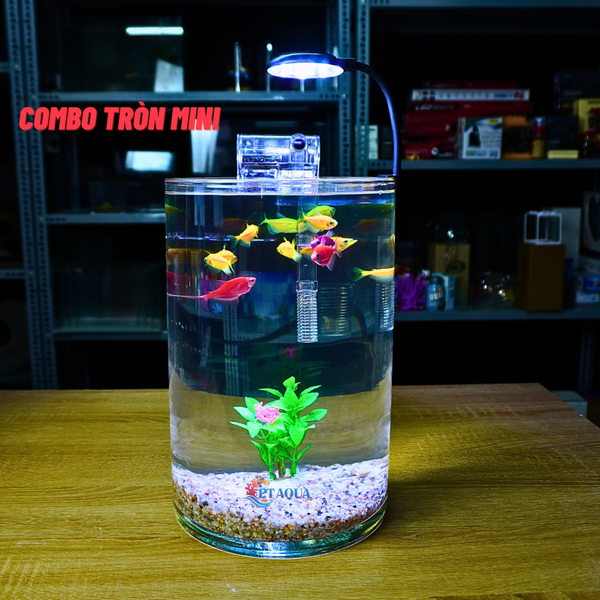 Bể cá mini tròn để bàn D20-H30cm chọn theo combo nhiều mẫu kèm phụ kiện