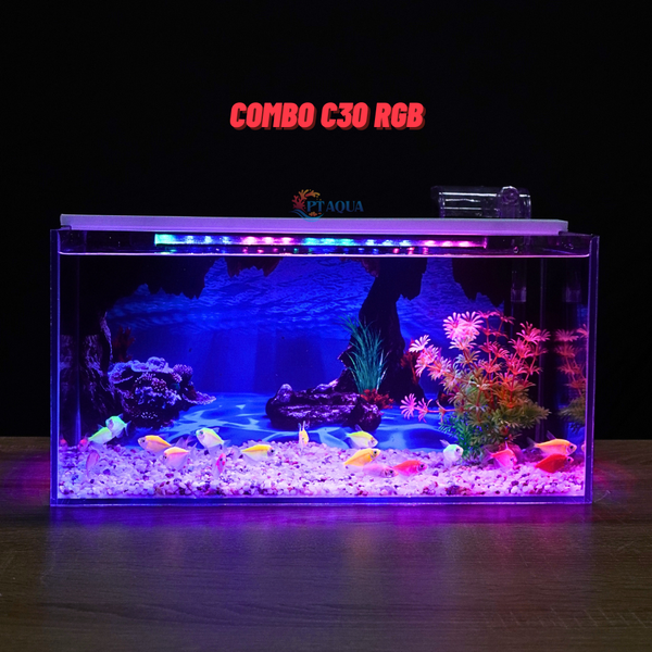 Bể cá Mini Để Bàn Có Tranh Dán  Kích Thước D40cm x R20cm x C20cm  Giúp Hồ Cá Đẹp Hơn