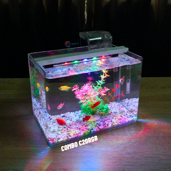 Bể cá mini Đúc uốn cong 25x16x18cm để bàn Với nhiều mẫu lựa chọn có kèm phụ kiện sỏi nền và cây nhựa
