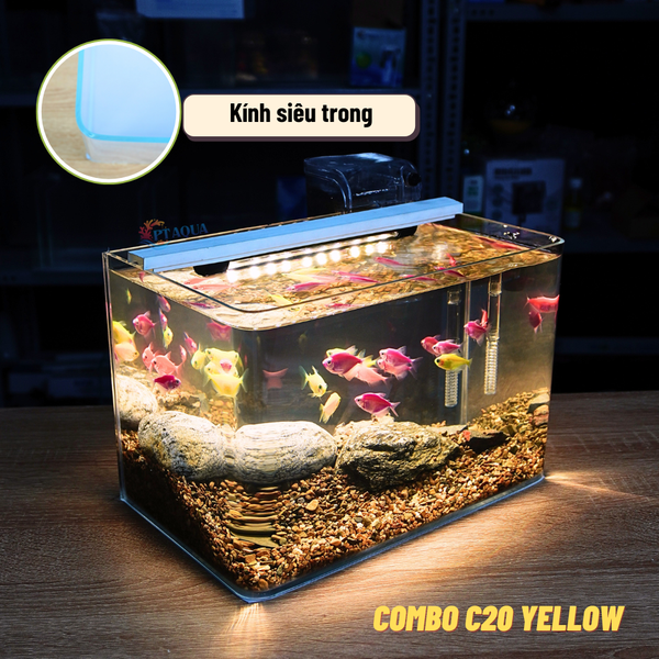 Bể Cá Mini Để Bàn ĐÚC SIÊU TRONG 25x16x18cm Phù Hợp Nuôi Cá , Làm Hồ Thuỷ Sinh Mini