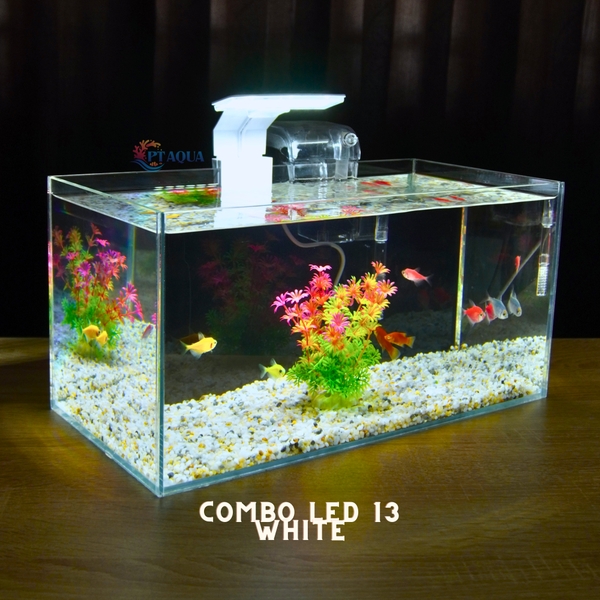Bể cá mini 40x20x20cm Nhiều Mẫu Để Bàn Đẹp Phù Hợp Nuôi Cá Cảnh Nhỏ