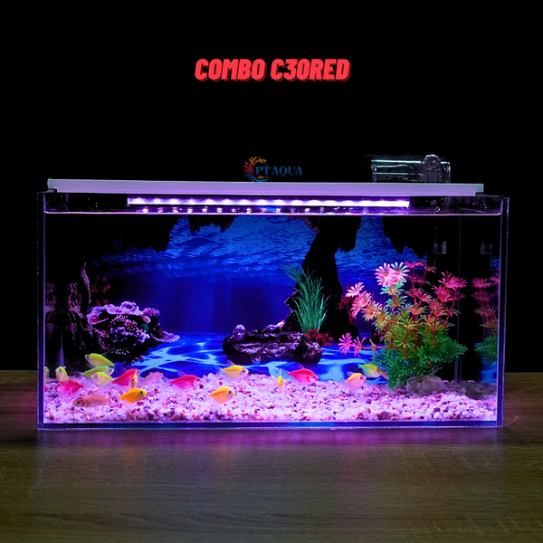 Bể cá Mini Để Bàn Có Tranh Dán  Kích Thước D40cm x R20cm x C20cm  Giúp Hồ Cá Đẹp Hơn