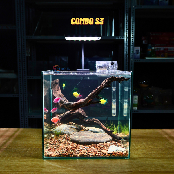Bể cá mini CUBIC 25cm để bàn