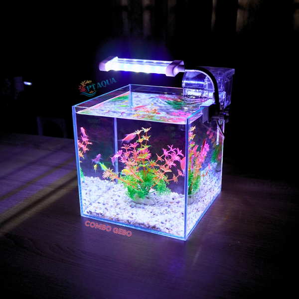 Bể cá mini để bàn CUBIC 20 combo nhiều mẫu nhỏ xinh phù hợp nuôi cá cảnh để bàn