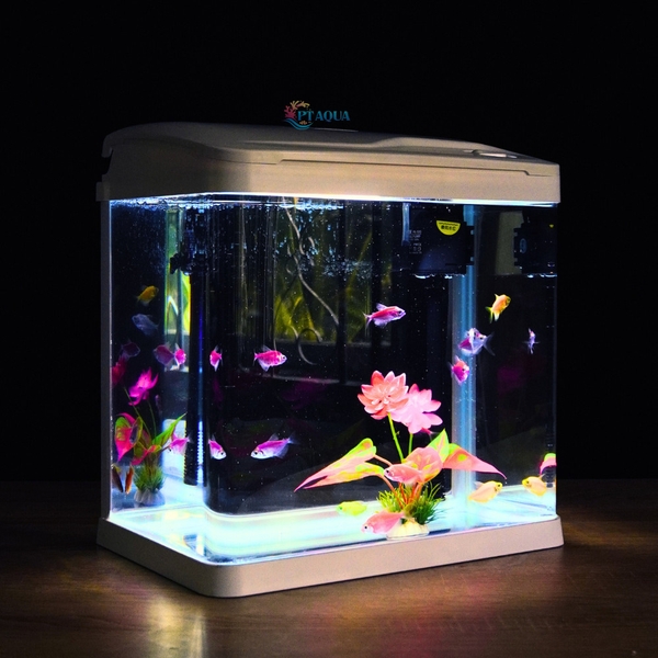 Bể Cá Kính Đúc 30cm tích hợp LỌC và ĐÈN , Dài 30cm Rộng 19.5cm Cao 32cm
