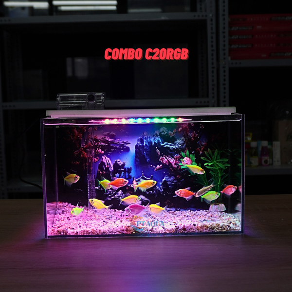 Bể Cá Mini Để Bàn Dán Sẵn Tranh Kích Thước 30x15x18cm Phù Hợp Nuôi Cá Cảnh Mini Để Bàn