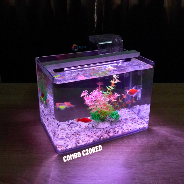Bể cá mini Đúc uốn cong 25x16x18cm để bàn Với nhiều mẫu lựa chọn có kèm phụ kiện sỏi nền và cây nhựa