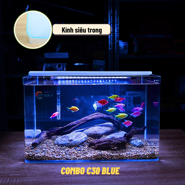 Bể Cá Mini Để Bàn ĐÚC SIÊU TRONG 35x21x23cm Phù Hợp Nuôi Cá , Làm Hồ Thuỷ Sinh Mini
