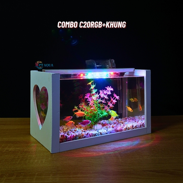 Bể cá mini để bàn COMBO giá rẻ đầy đủ phụ kiện