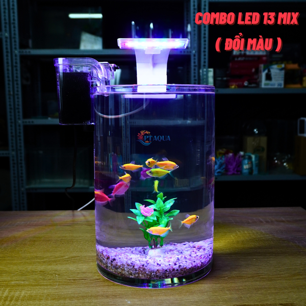 Bể cá mini tròn để bàn D20-H30cm chọn theo combo nhiều mẫu kèm phụ kiện