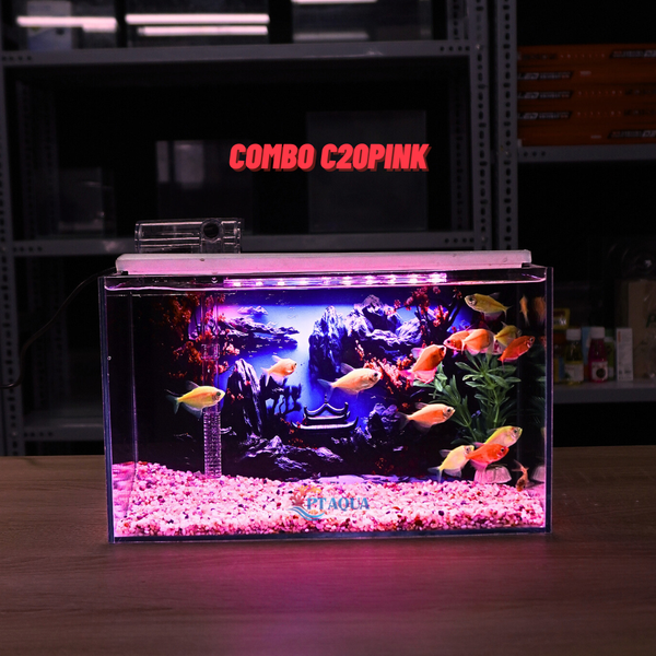 Bể Cá Mini Để Bàn Dán Sẵn Tranh Kích Thước 30x15x18cm Phù Hợp Nuôi Cá Cảnh Mini Để Bàn