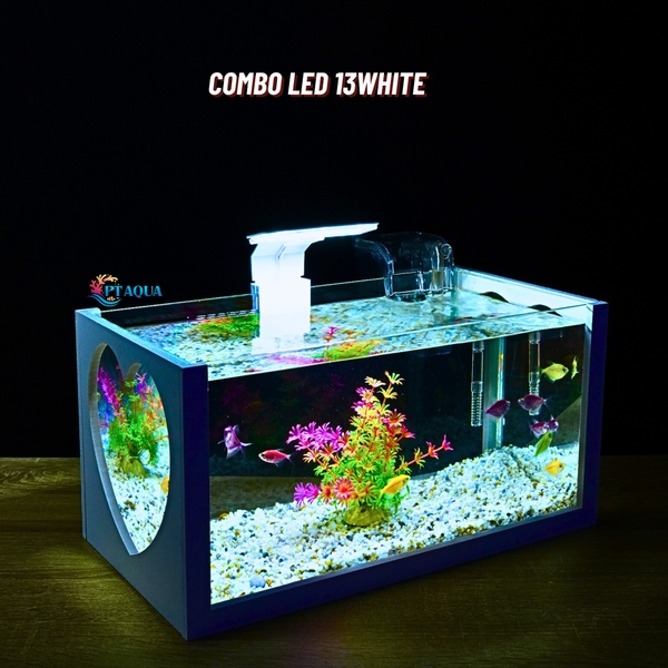 Bể cá mini 40cm COMBO đầy đủ CHỌN MẪU phù hợp nuôi cá cảnh mini để bàn
