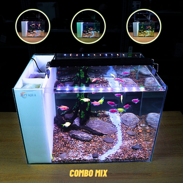 Bể Cá Mini Lọc Vách Kích Thước 50x33x35cm Để Bàn Đầy Đủ Phụ Kiện Có Sẵn Bơm và Vật Liệu Lọc