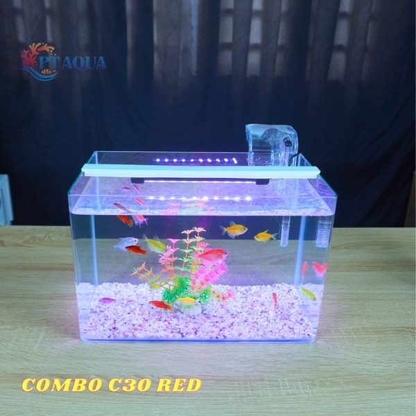 Bể cá mini Đúc uốn cong 35x21x23cm để bàn Với nhiều mẫu lựa chọn có kèm phụ kiện sỏi nền và cây nhựa