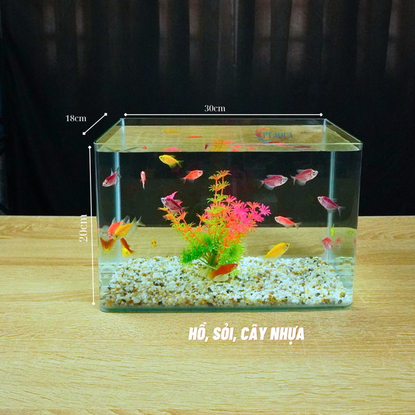 Bể cá mini Đúc uốn cong 30x18x20cm để bàn Với nhiều mẫu lựa chọn có kèm phụ kiện sỏi nền và cây nhựa
