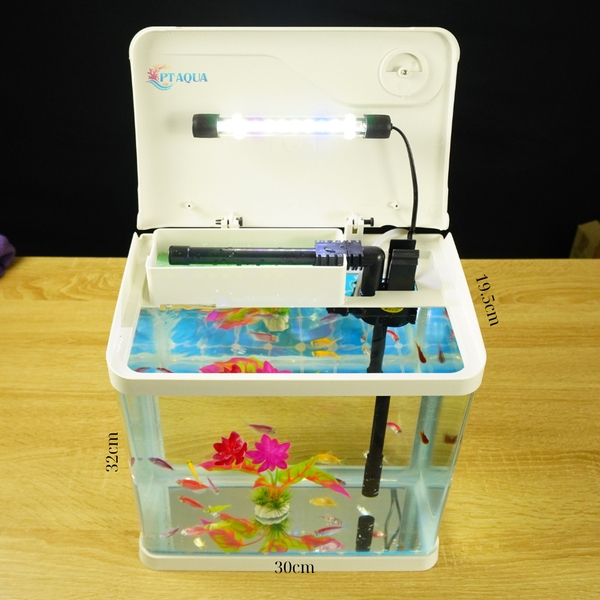 Bể Cá Kính Đúc 30cm tích hợp LỌC và ĐÈN , Dài 30cm Rộng 19.5cm Cao 32cm