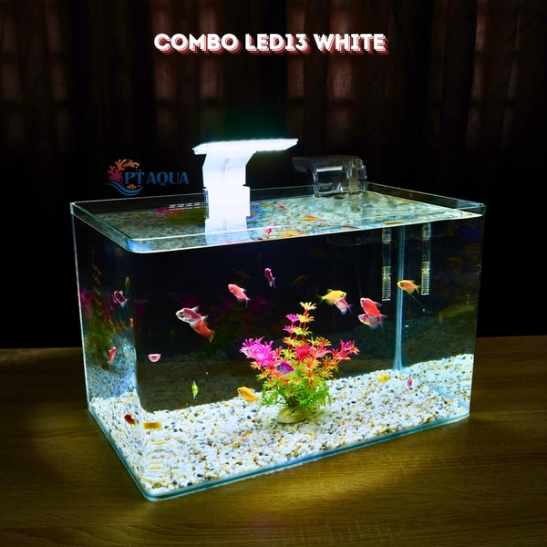 Bể cá mini Đúc uốn cong 40x24x25cm để bàn Với nhiều mẫu lựa chọn có kèm phụ kiện sỏi nền và cây nhựa