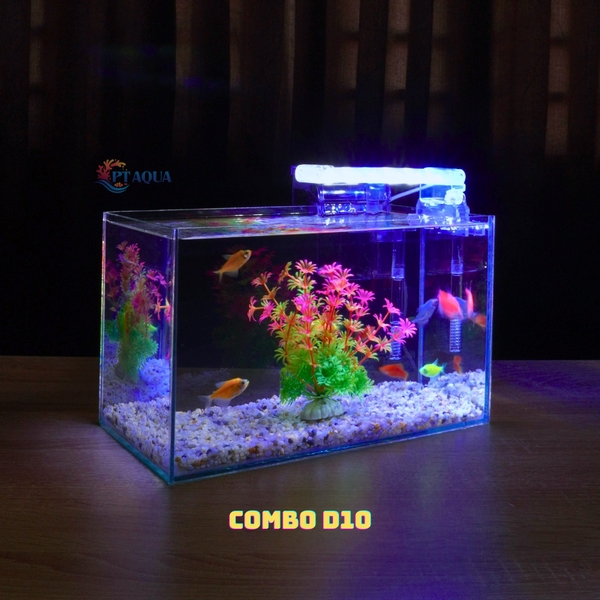 Bể Cá Mini Mài Cạnh Vi Tính Kích Thước 30x15x18cm - Thích Hợp Nuôi Cá Cảnh Để Bàn