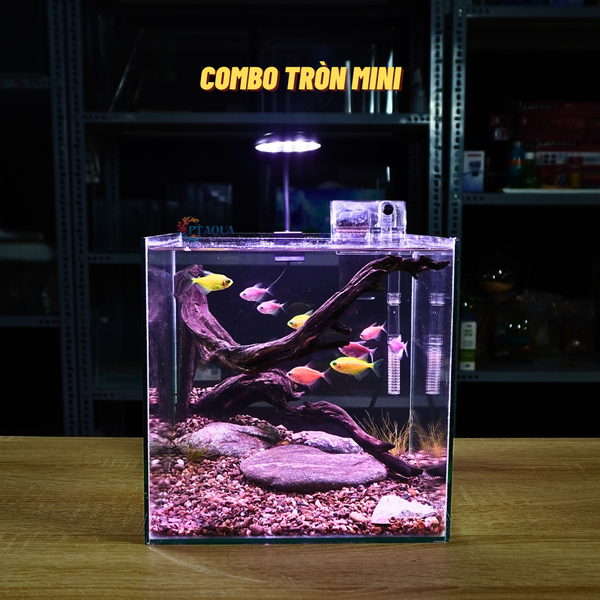 Bể cá mini CUBIC 25cm để bàn