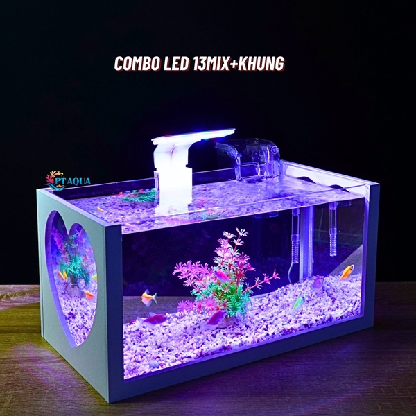 Bể cá mini 40cm COMBO đầy đủ CHỌN MẪU phù hợp nuôi cá cảnh mini để bàn