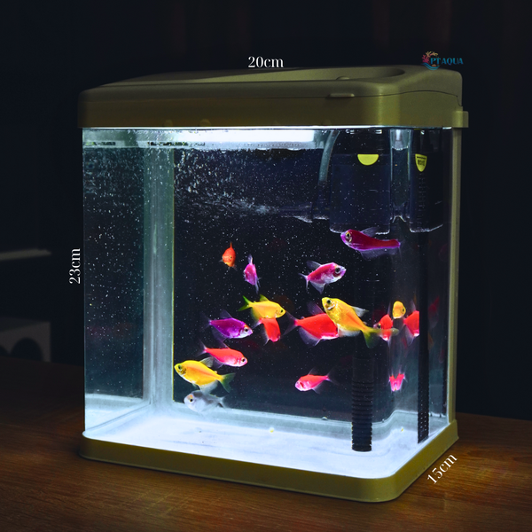 Bể Cá Mini Kính Đúc 20cm tích hợp LỌC và ĐÈN , Dài 20cm Rộng 15cm Cao 23cm