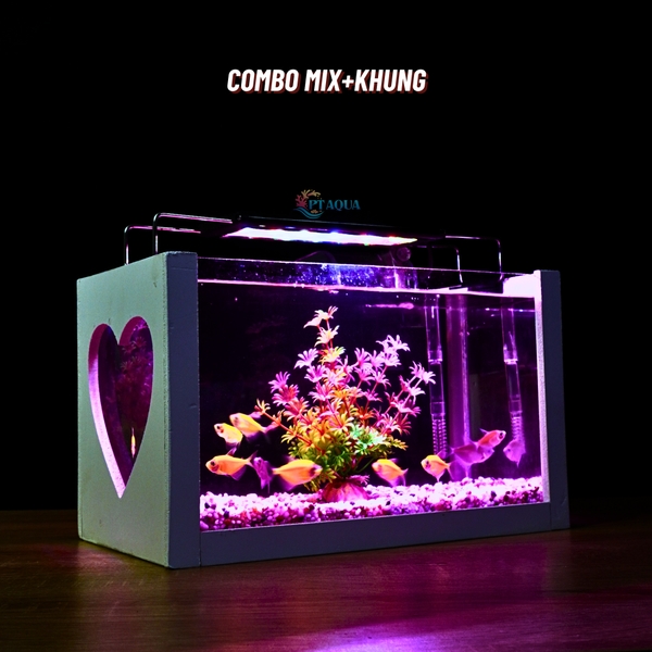 Bể cá mini để bàn COMBO giá rẻ đầy đủ phụ kiện