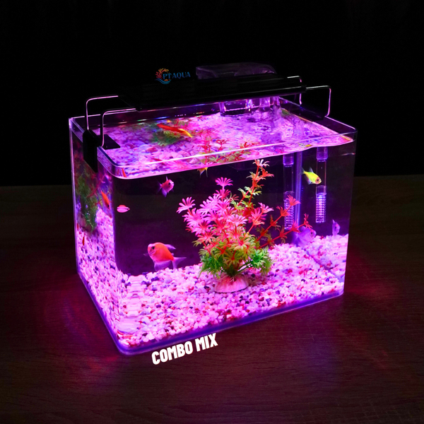 Bể cá mini Đúc uốn cong 25x16x18cm để bàn Với nhiều mẫu lựa chọn có kèm phụ kiện sỏi nền và cây nhựa