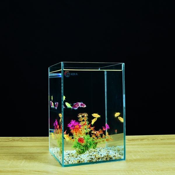 Bể Cá Mini PT AQUA 15x15x20cm Kính 5ly Phù Hợp Nuôi Cá Mini Để Bàn hoặc Làm Bể Thuỷ Sinh Mini Để Bàn