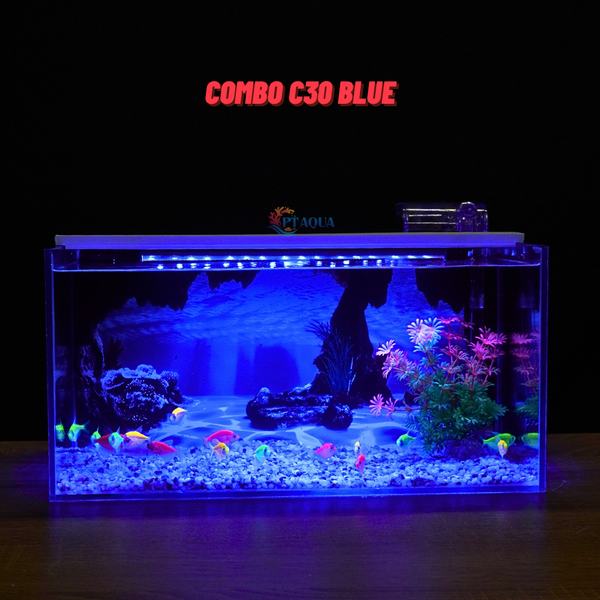Bể cá Mini Để Bàn Có Tranh Dán  Kích Thước D40cm x R20cm x C20cm  Giúp Hồ Cá Đẹp Hơn