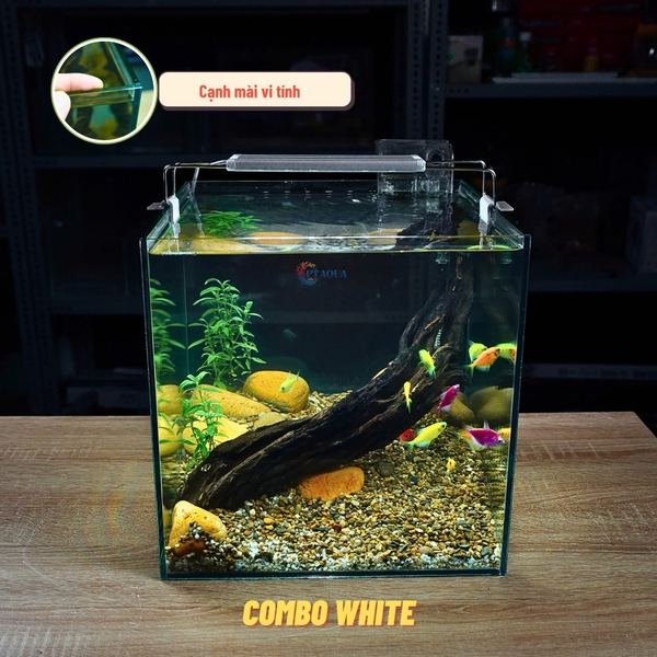 Bể Cá Mini Để Bàn CUBIC 30CM Nhiều Mẫu Phù Hợp Nuôi Cá Để Bàn , Làm Hồ Thuỷ Sinh