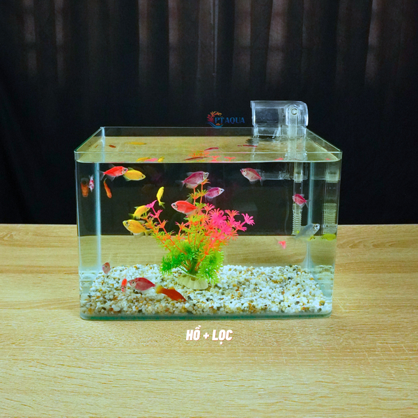 Bể cá mini Đúc uốn cong 30x18x20cm để bàn Với nhiều mẫu lựa chọn có kèm phụ kiện sỏi nền và cây nhựa
