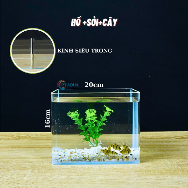 Bể Cá Mini KÍNH SIÊU TRONG Uốn 2 Cạnh Trước Kích Thước Từ 20cm đến 40cm