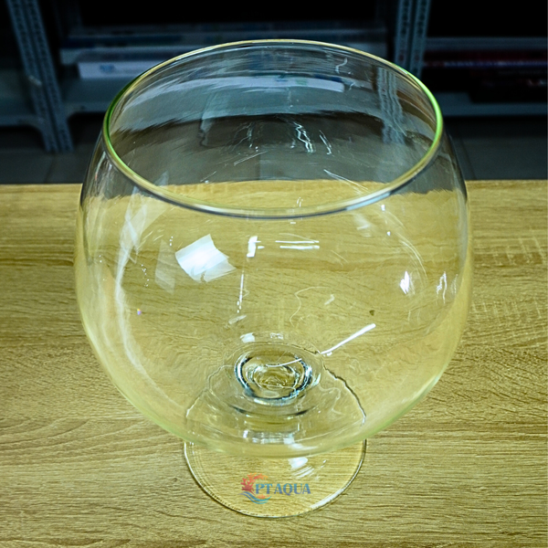 Chậu Thuỷ Tinh , Bể Cá mini Hình Ly Cỡ Đại Siêu To Kích Thước Bụng 24cm Cao 27cm hợp nuôi cá cảnh