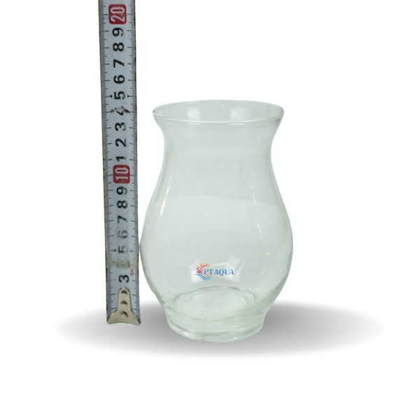 Chậu thủy tinh mini hình bầu bụng 10cm cao 13cm trồng cây nuôi cá thủy canh