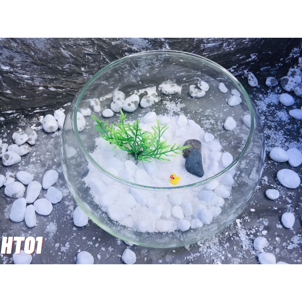 Chậu thủy tinh tròn HT01 size lớn dành cho nuôi cá hoặc trang trí