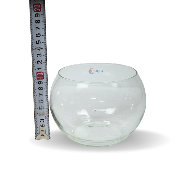 Chậu thủy tinh mini tròn ngang 14cm cao 12cm