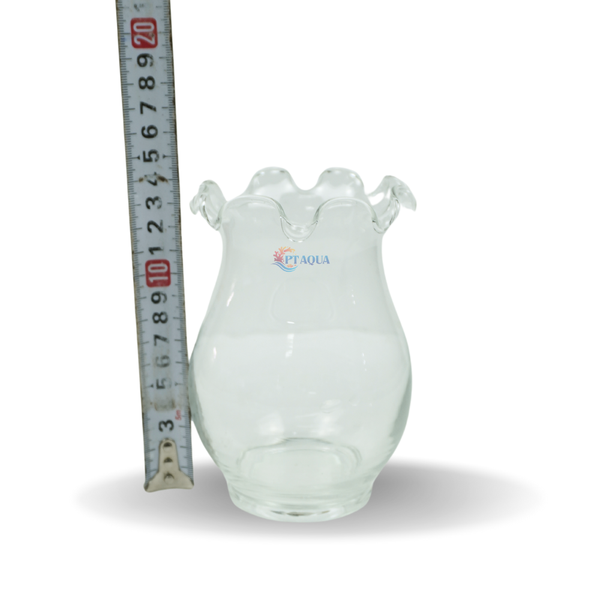 Chậu thủy tinh mini hình bầu bèo bụng 10cm cao 14cm trồng cây nuôi cá thủy canh