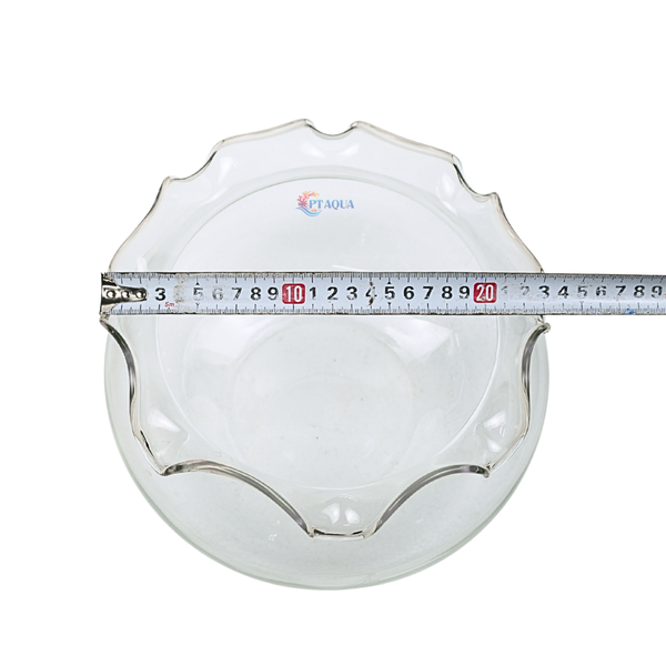 Chậu thủy tinh tai bèo để bàn , chậu thủy tinh mini tai bèo HB01 nuôi cá và trang trí