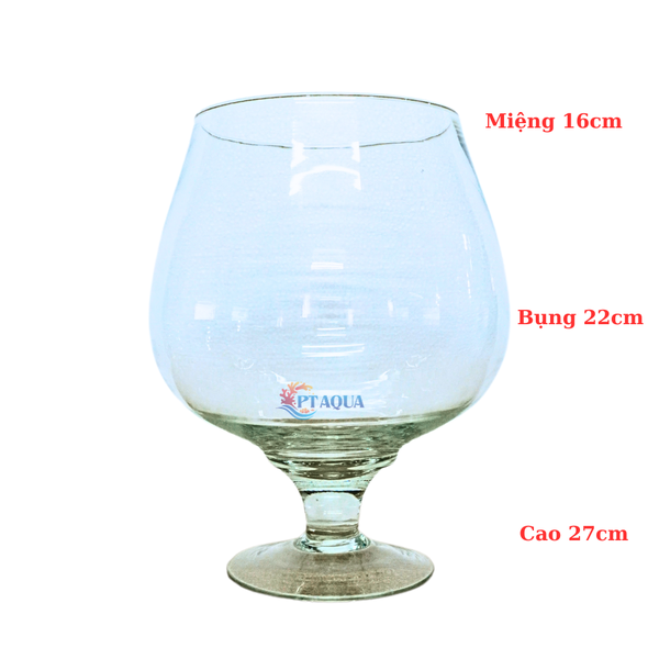Chậu Thuỷ Tinh , Bể Cá mini Hình Ly Cỡ Đại Siêu To Kích Thước Bụng 24cm Cao 27cm hợp nuôi cá cảnh