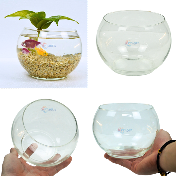Chậu thủy tinh mini tròn ngang 14cm cao 12cm