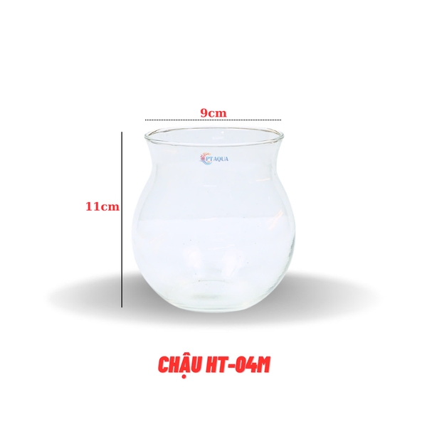 Chậu Thuỷ Tinh Để Bàn Mã HT-M Có Cổ Nhô Lên Cao Phù Hợp Nuôi Cá Cảnh Mini Kêt Hợp Trông Thuỷ Canh