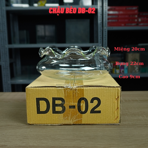 Bể Cá Mini, Chậu Thuỷ Tinh Tai Bèo DB phù hợp làm tiểu cảnh trang trí hoặc nuôi cá cảnh mini để bàn