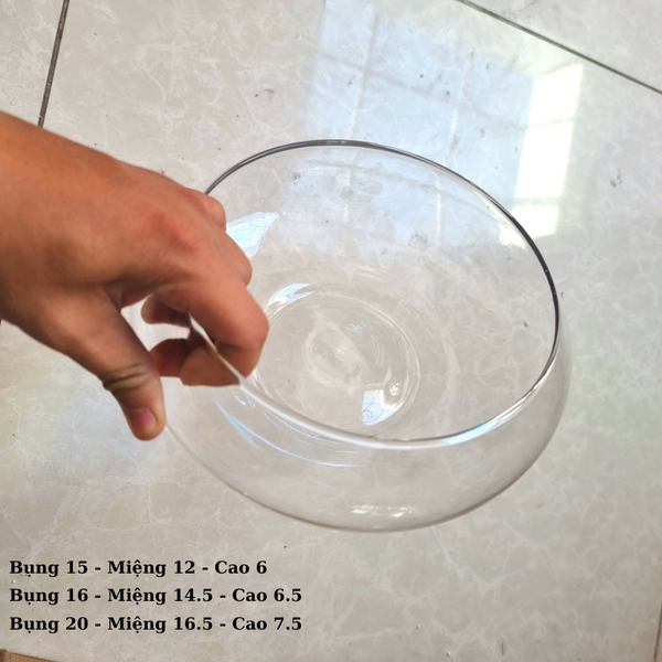 BS - Bể cá mini tròn để bàn, chậu thủy tinh trồng cây thủy sinh, chậu thủy tinh trang trí