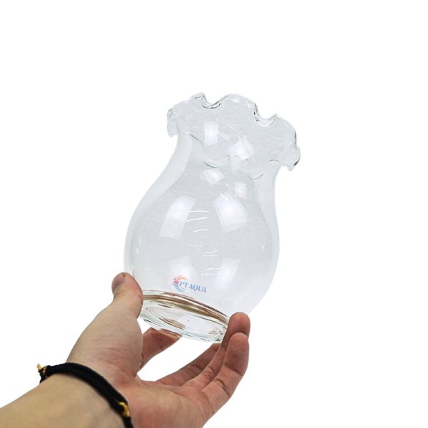 Chậu thủy tinh mini hình bầu bèo bụng 10cm cao 14cm trồng cây nuôi cá thủy canh
