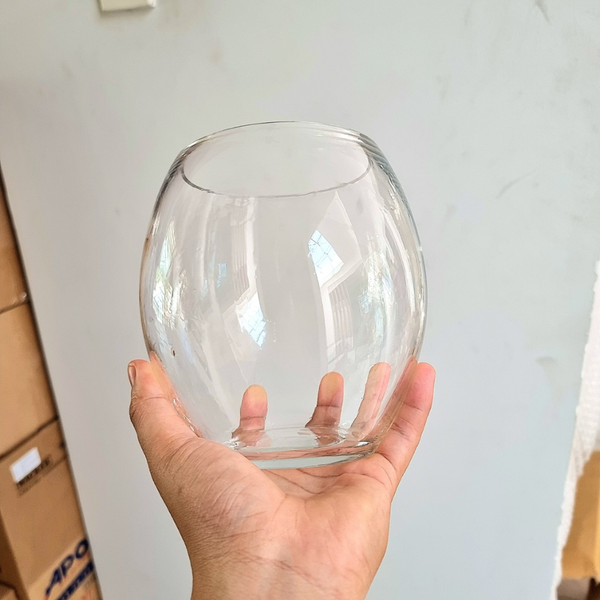 Chậu thủy tinh mini , chậu hoa thủy tinh , chậu thủy tinh mini tai bèo