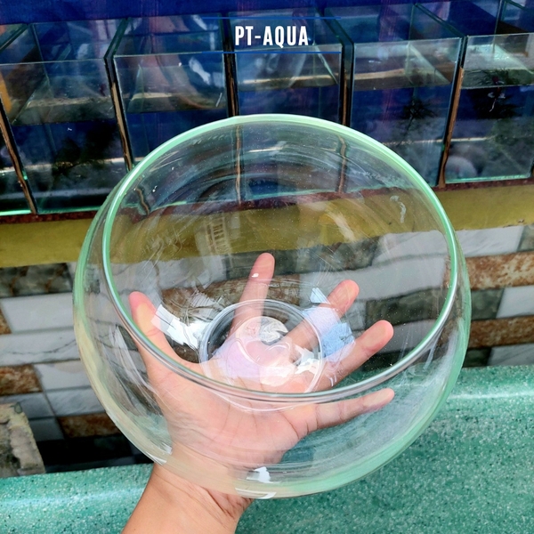 Chậu thủy tinh mini tròn ngang 17cm cao 13cm