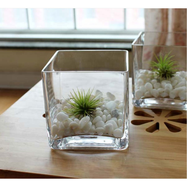 Chậu Thủy Tinh Trồng Cây, Lọ Thủy Tinh Vuông Trồng Cây Trong Suốt, Cắm Hoa Để Bàn, Decor Nội Thất Đa Năng