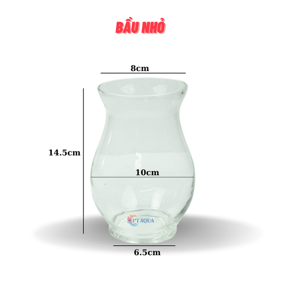 Chậu thủy tinh mini hình bầu bụng 10cm cao 13cm trồng cây nuôi cá thủy canh