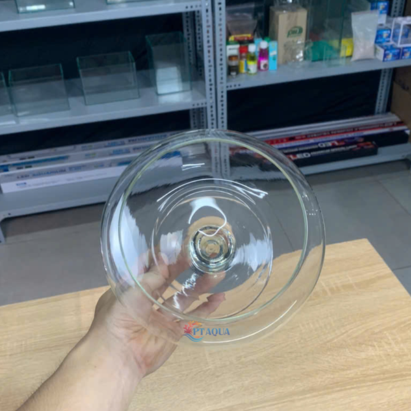 Bể Cá Mini, Chậu Thuỷ Tinh DC phù hợp làm tiểu cảnh trang trí hoặc nuôi cá cảnh mini để bàn
